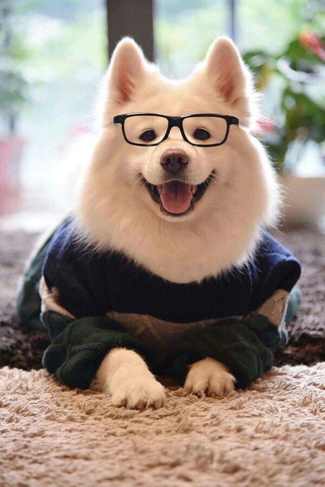 早上好       