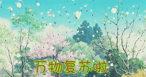 511_270gif 动态图 动图