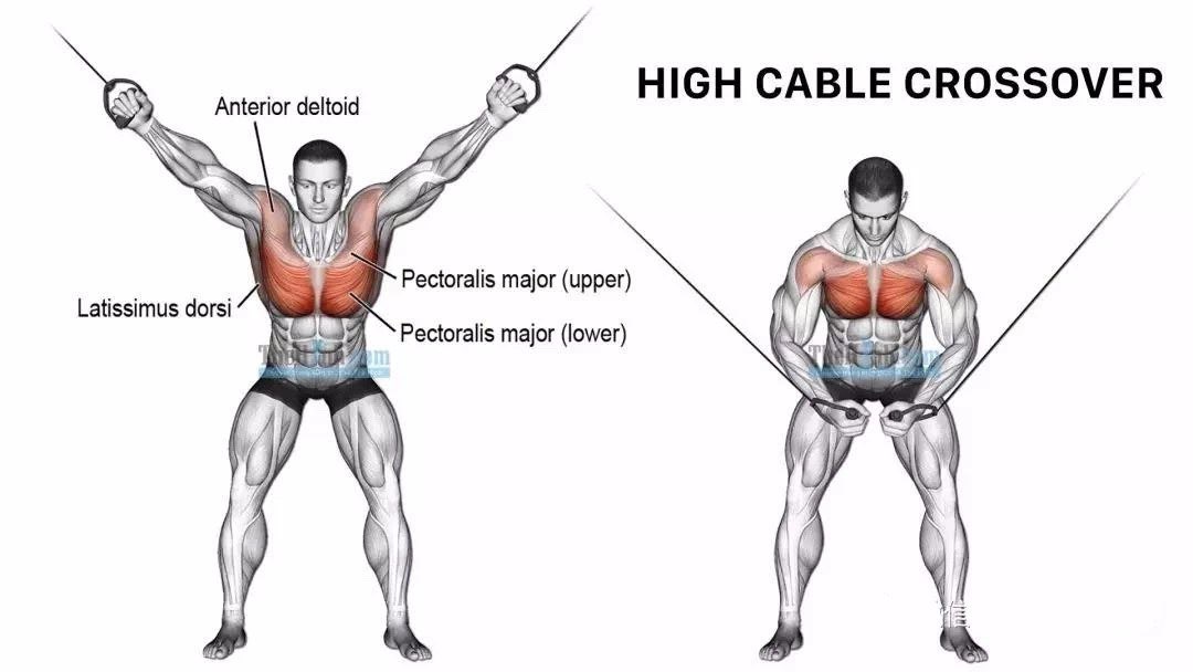 胸肌全面训练图解,胸沟上胸中胸下胸全部到位!