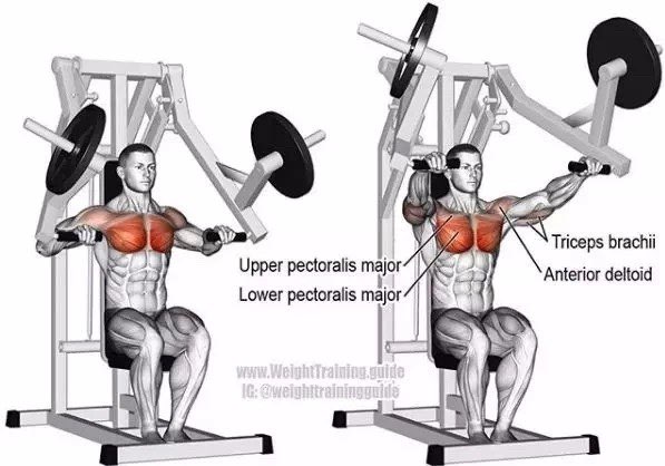 胸肌全面训练图解,胸沟上胸中胸下胸全部到位!