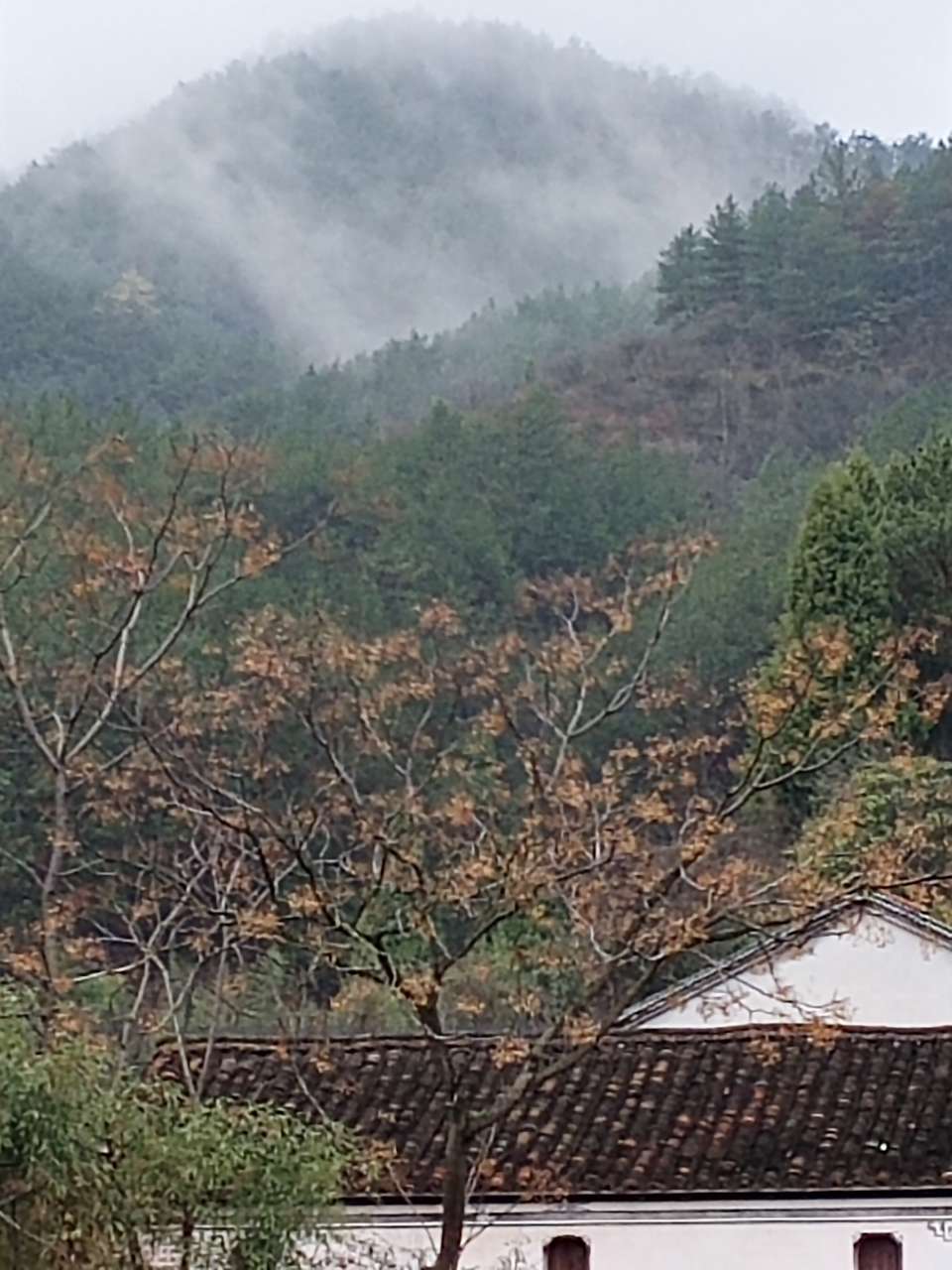 雨晨,樓頂,山村,霧景,流水